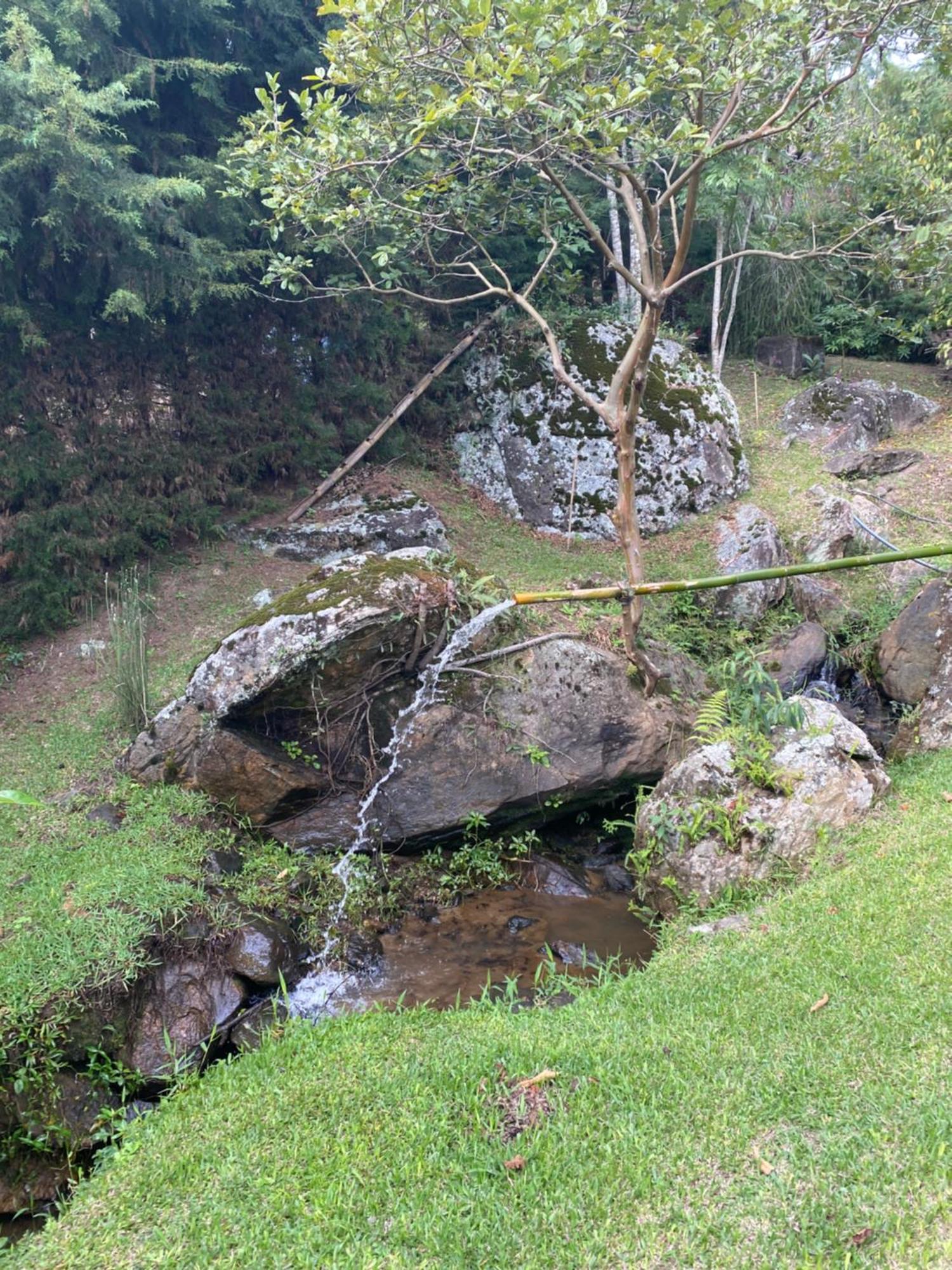 Casa Na Montanha A 500 Metros Da Pedra Do Bau Daire São Bento do Sapucaí Dış mekan fotoğraf